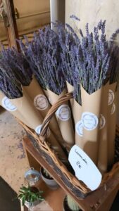 hoa lavender khô đà lạt